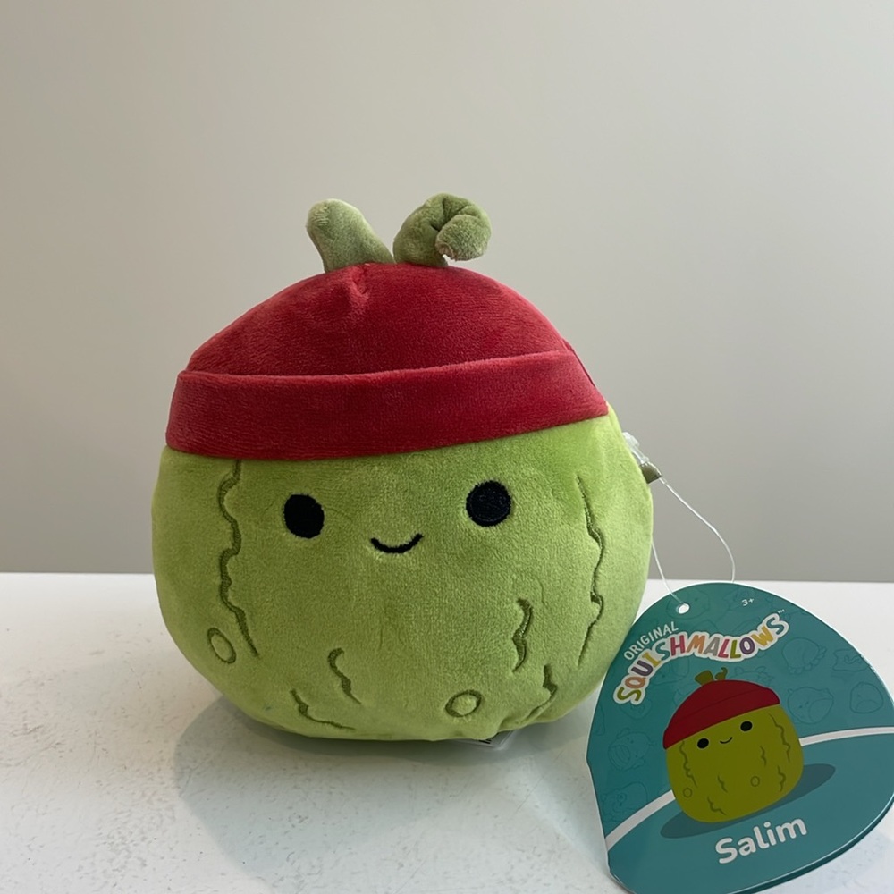 NWT 5” Salim the Pickle with Beanie Squishmallow